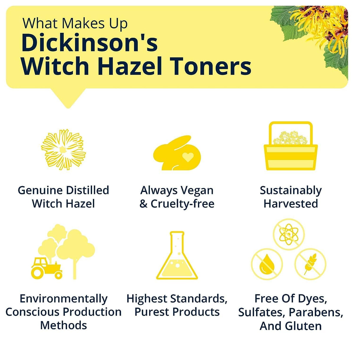 Alcohol-Free Witch Hazel & Rosewater Hydrating Toner (16 Fl Oz) | speso tech